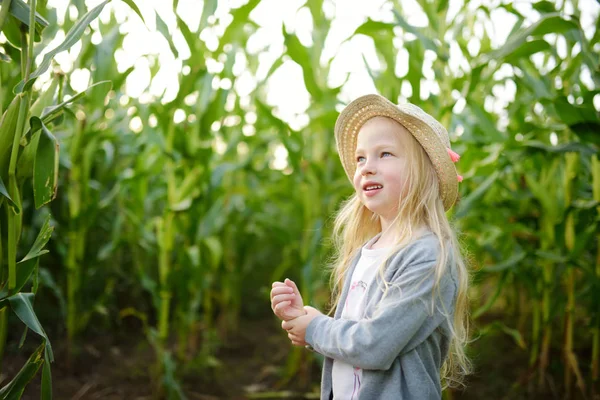 Cute młoda dziewczyna zabawy w polu labirynt kukurydzy w sezonie jesiennym. Gry i rozrywka w czasie zbiorów. — Zdjęcie stockowe