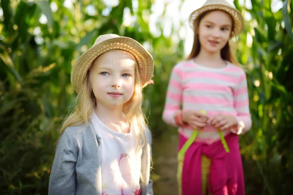 Dwie słodkie młode dziewczyny bawiące się na polu labiryntu kukurydzy w sezonie jesiennym. Gry i rozrywka w czasie zbiorów. — Zdjęcie stockowe