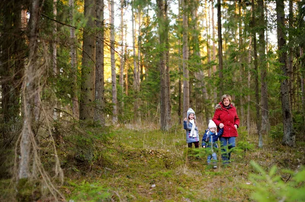 Deux jolies petites sœurs marchant dans une forêt avec leur grand-mère le beau jour du printemps. Enfants explorant la nature . — Photo