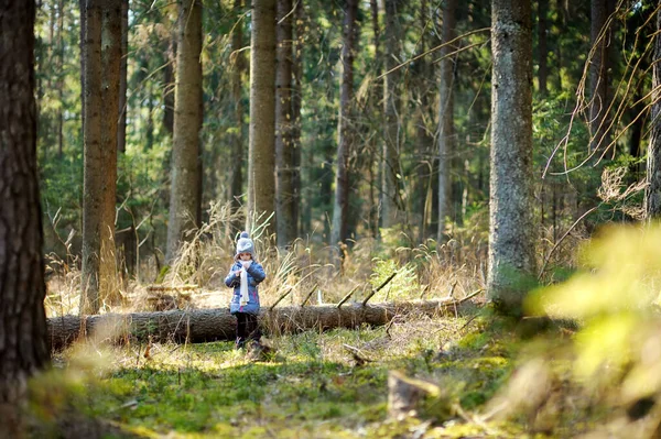 Cute little girl having fun during forest hike on beautiful spring day. Child exploring nature. — Stock Photo, Image