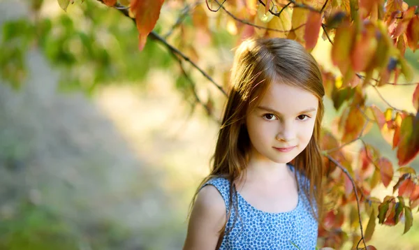 Entzückende junge Mädchen, die Spaß an einem schönen Herbsttag haben. glückliches Kind, das im Herbstpark spielt. Kind sammelt gelbes Herbstlaub. — Stockfoto