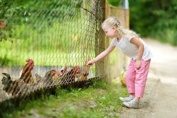 Carino bambina guardando polli fattoria attraverso recinzione in metallo . — Foto Stock