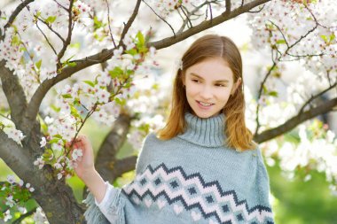 Çiçek açan kiraz ağacının bahçesinde güzel bir bahar gününde çok tatlı bir genç kız. Tatlı çocuk baharda kiraz ağacı çiçeği topluyor. Doğayı keşfeden çocuk.