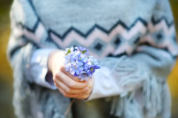 Fiatal lány szedi az első virágok a tavasz az erdőben a gyönyörű napsütéses tavaszi napon. Közelkép a virágokat tartó gyerekkezekről. — Stock Fotó