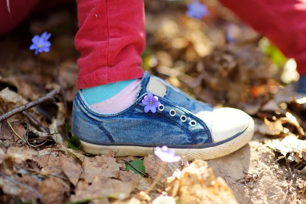 美しい晴れた春の日に森の中で女の子の靴のクローズアップ 春の最初の花を屋外で摘む子供 自然を探検する子供 — ストック写真