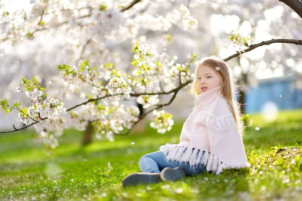 美丽的春天 可爱的小女孩在盛开的樱桃园里 可爱的孩子春天采摘新鲜的樱桃树花 探索自然的孩子 — 图库照片