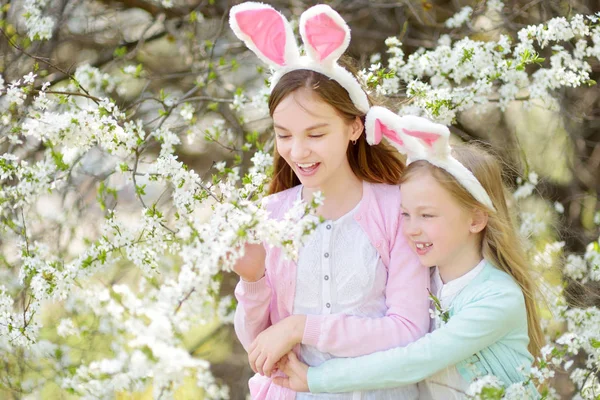 Two Cute Young Sisters Wearing Bunny Ears Blooming Cherry Garden — Stock Photo, Image
