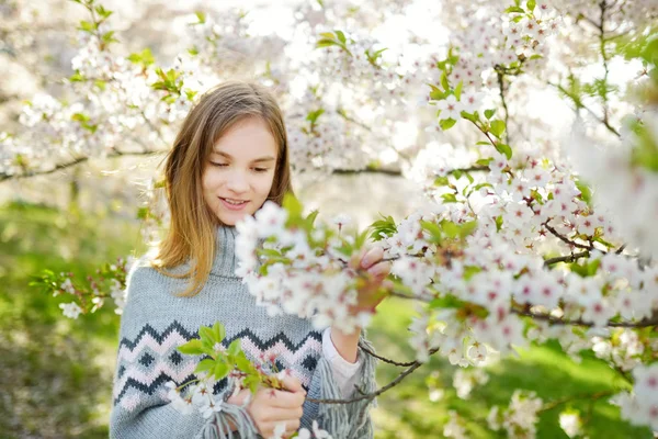 Menina Adorável Jardim Cerejeira Florescendo Belo Dia Primavera Criança Bonito — Fotografia de Stock