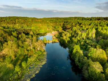 Yazın güzel bir orman manzarası. Güneşli yaz gününde yeşil ağaçlar ve nehir. Litvanya, Vilnius 'taki şehir parkı manzarası.