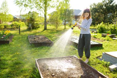 Cute young girl watering flower beds in the garden at summer day. Child using garden hose on sunny day. Mommys little helper. clipart