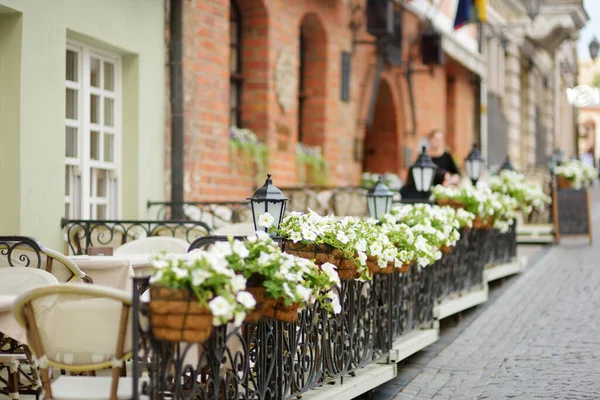 Kültéri Étterem Asztal Gyönyörűen Díszített Növények Virágok Vilnius Litvánia Szép — Stock Fotó