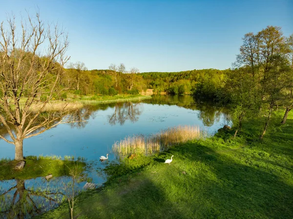 Hermosa Escena Del Bosque Aéreo Verano Árboles Verdes Río Soleado — Foto de Stock