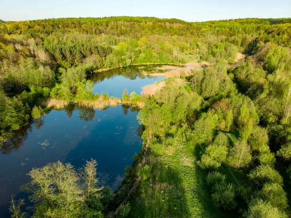 Beautiful Aerial Forest Scene Summer Green Trees River Sunny Summer — Stock Photo, Image