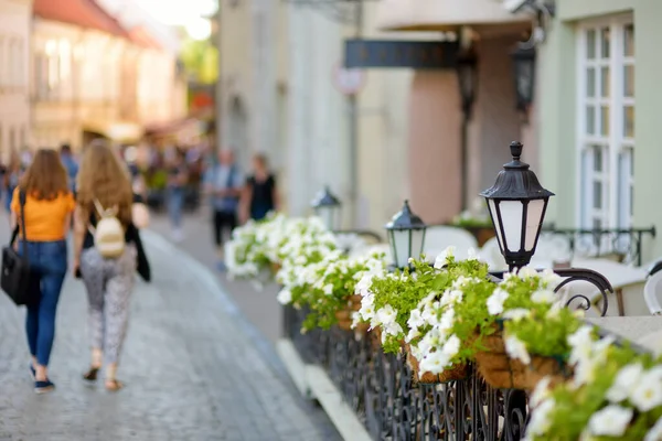 Tavolo Ristorante All Aperto Splendidamente Decorato Con Piante Fiori Vilnius — Foto Stock