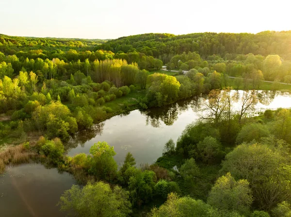 Vacker Flygskog Scen Sommaren Gröna Träd Och Älv Solig Sommardag — Stockfoto