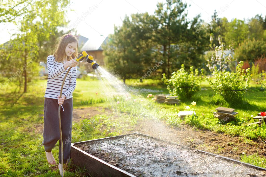 Cute young girl watering flower beds in the garden at summer day. Child using garden hose on sunny day. Mommys little helper.
