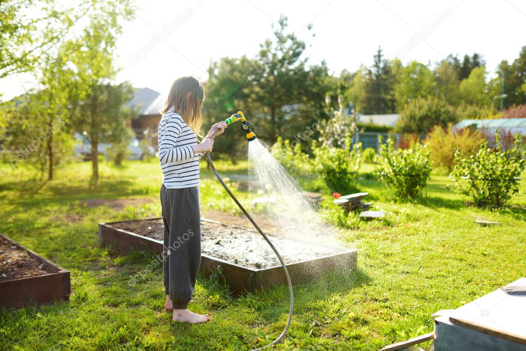 Cute young girl watering flower beds in the garden at summer day. Child using garden hose on sunny day. Mommys little helper.