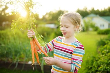 Elinde taze organik havuç tutan tatlı bir genç kız. Bahçede sebze toplayan bir çocuk. Küçük çocuklar için taze sağlıklı yiyecekler. Yaz aylarında aile beslenmesi.