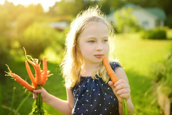 Carina Ragazza Che Tiene Mucchio Carote Biologiche Fresche Raccolta Verdure — Foto Stock