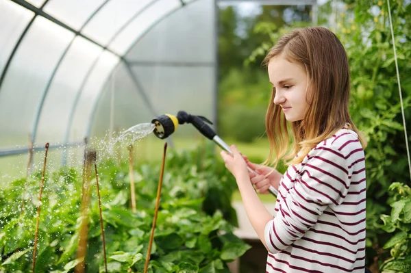 Adorable Young Girl Watering Variuos Vegetables Greenhouse Sunny Summer Day — Stock Photo, Image