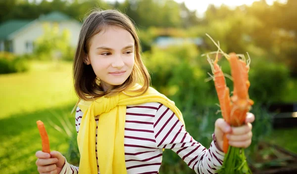 Schattig Jong Meisje Met Verse Biologische Wortelen Kind Dat Groenten — Stockfoto