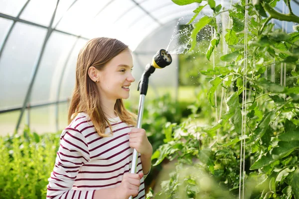 Adorable Joven Regando Verduras Variuos Invernadero Día Soleado Verano Niño —  Fotos de Stock