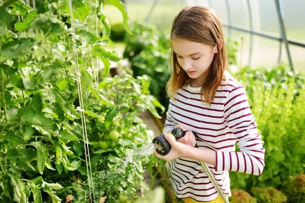Adorável Menina Molhando Legumes Variuos Uma Estufa Dia Ensolarado Verão — Fotografia de Stock