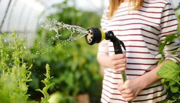 Close Child Hands Watering Vegetables Greenhouse Sunny Summer Day Child — Stock Photo, Image
