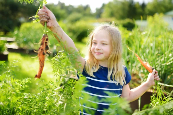 Linda Joven Sosteniendo Montón Zanahorias Orgánicas Frescas Niño Cosechando Verduras — Foto de Stock