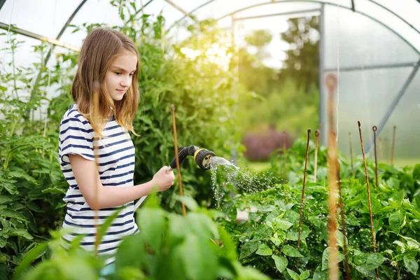 可爱的小女孩在阳光明媚的夏日在温室里浇灌各种蔬菜 孩子们帮助做日常事务 儿童园艺活动 — 图库照片