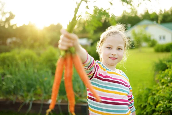 Linda Joven Sosteniendo Montón Zanahorias Orgánicas Frescas Niño Cosechando Verduras — Foto de Stock