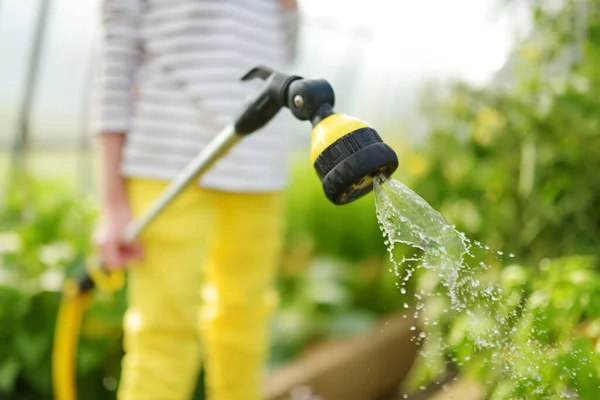 Close Child Hands Watering Vegetables Greenhouse Sunny Summer Day Child — Stock Photo, Image