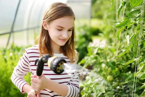 Adorable Joven Regando Verduras Variuos Invernadero Día Soleado Verano Niño —  Fotos de Stock