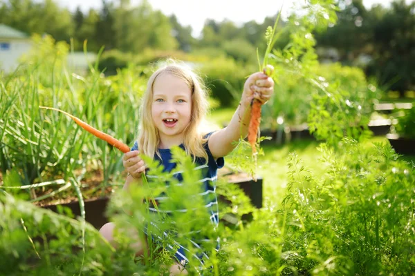 Linda Joven Sosteniendo Montón Zanahorias Orgánicas Frescas Niño Cosechando Verduras — Foto de Stock