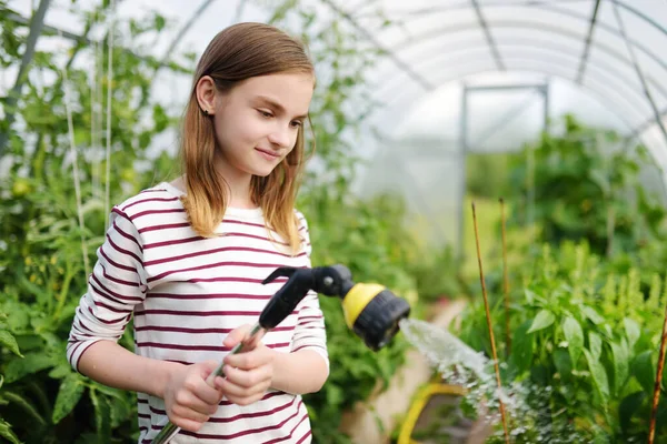 Adorável Menina Molhando Legumes Variuos Uma Estufa Dia Ensolarado Verão — Fotografia de Stock