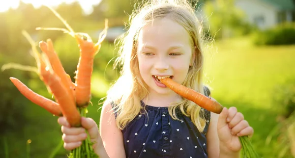 Linda Joven Sosteniendo Montón Zanahorias Orgánicas Frescas Niño Cosechando Verduras — Foto de Stock