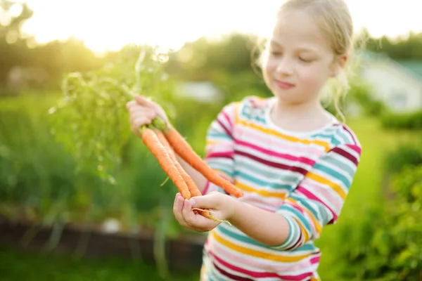 Linda Joven Sosteniendo Montón Zanahorias Orgánicas Frescas Niño Cosechando Verduras — Foto de Stock