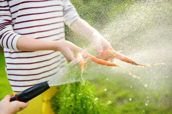 Gros Plan Sur Les Enfants Lavant Main Bouquet Carottes Fraîches — Photo