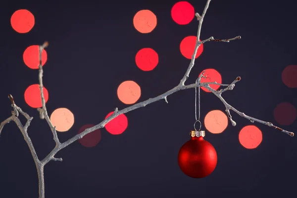 Adornos de Navidad colgando de una rama de árbol . — Foto de Stock