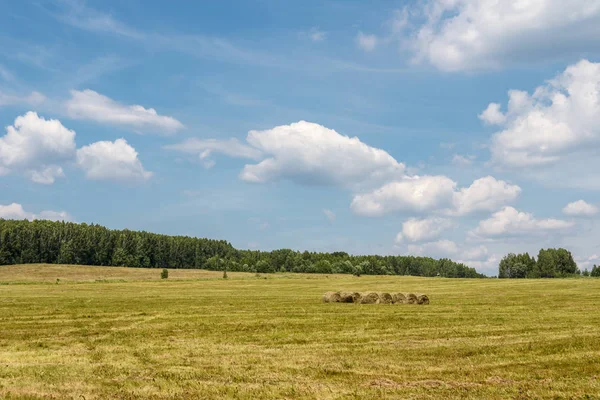 Gli spazi aperti russi . — Foto Stock