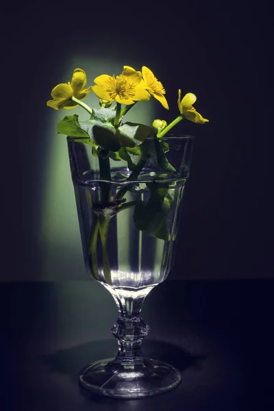 Pequeno Buquê Flores Amarelas Copo Vidro Mesa Iluminação Contraste Escuro — Fotografia de Stock