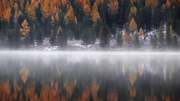 Fog over the water of Lower Multinskoe lake in the Altai Mountains at late Autumn — Stock Footage Fog over the water of Lower Multinskoe lake in the Altai Mountains at late Autumn Stock Footage