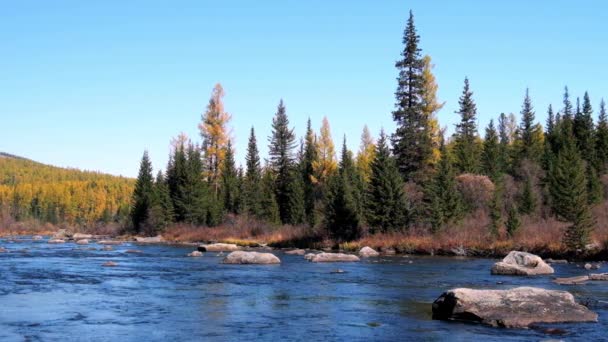 River Multa near lake Lower Multinskoe in Altai — Stock Footage River Multa near lake Lower Multinskoe in Altai Stock Video