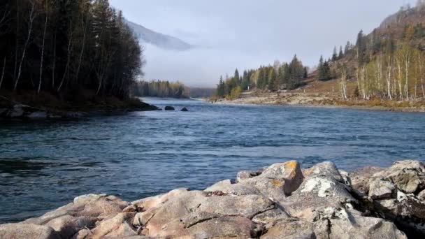 River Katun in Altai mountains — Stock Footage River Katun in Altai mountains Royalty Free Stock Footage