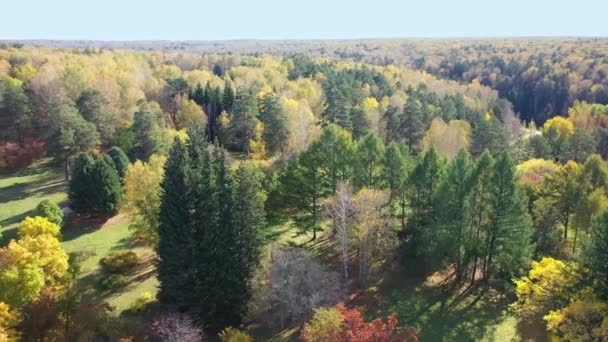 Aerial video from rotating drone of colorful park at Autumn season with trees and yellow leaves. Fall natural background. Siberia, Russia — Stock Footage Aerial Video Rotating Drone Colorful Park Autumn Season Trees Yellow Stock Video