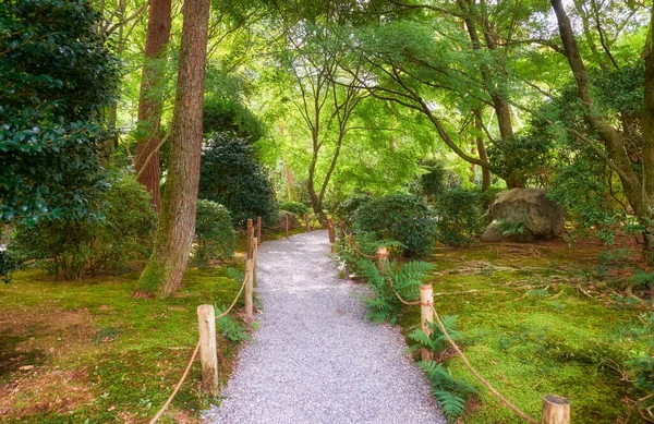 The view of the white gravel path through the traditional Japanese moss park of Ryoan-ji temple. Kyoto. Japan