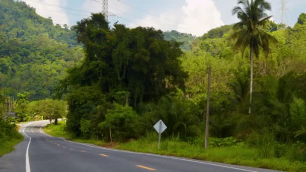 Los coches van en el camino a través de la selva — Vídeos de Stock