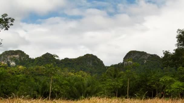 Verão paisagem timelapse — Vídeo de Stock