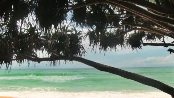 Surf en la playa tropical — Vídeo de stock