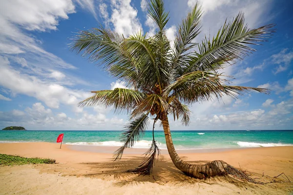 Vue pittoresque sur la plage de la mer — Photo